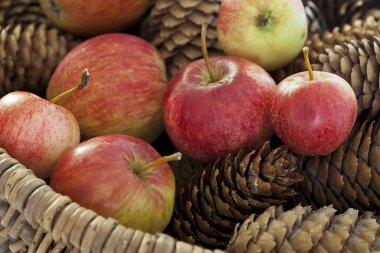 elma ile rustik kış natürmort