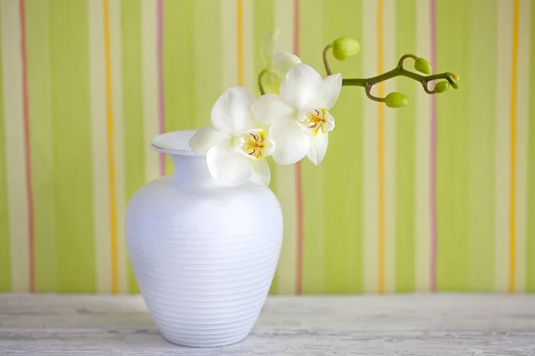 Decorative White Vase With Orchid — Stock Photo, Image