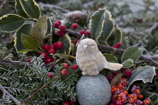 Nature morte avec oiseau et baies — Photo