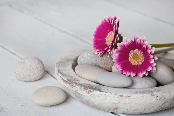Stillleben mit Gerbera-Blüten — Stockfoto