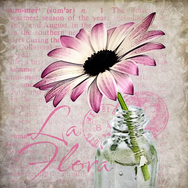 Rosa Gänseblümchen Blume gemischte Medien Kunst Illustration — Stockfoto