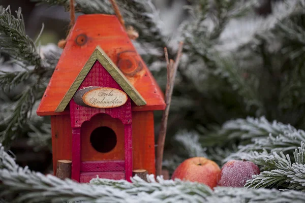 Casa de pássaros colorida bonito no inverno — Fotografia de Stock