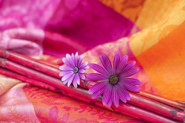 Daisy Flowers And Bamboo Sticks — Stock Photo, Image
