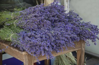 Lavanta çiçek buketleri Provence