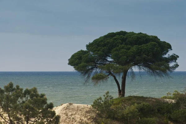 Vue sur la mer sur la côte portugaise de l'Algarve — Photo