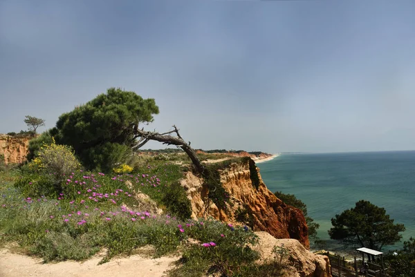 Vista al mar en la costa portuguesa del Algarve — Foto de Stock