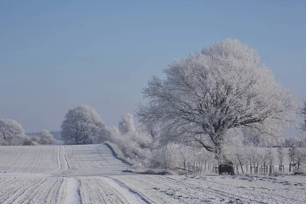 Kuzey Almanya 'nın kırsal kesiminde kışın manzarası