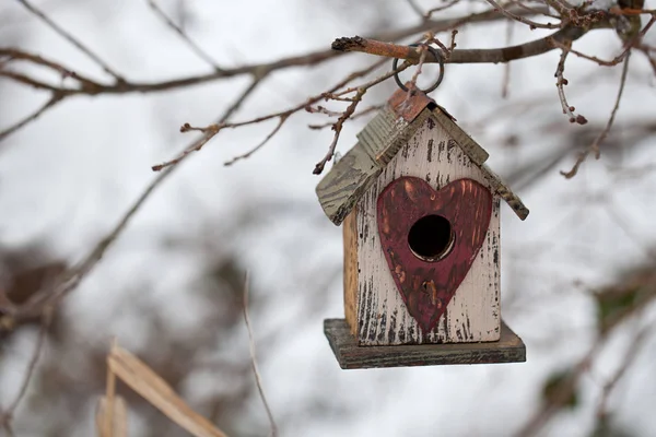 Casa de passarinho bonito com coração — Fotografia de Stock