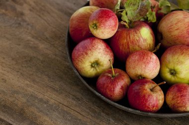 Elmalarla Kırsal Hayat