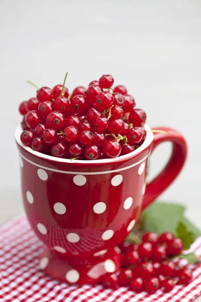 Polka Dot Mug Kırmızı Yaz Meyveler