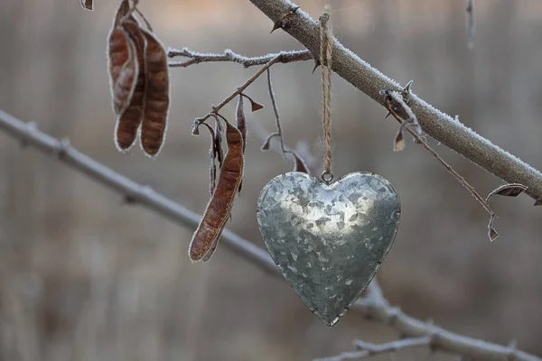 Tin cuore ornamento su autunno ramoscello — Foto Stock