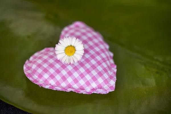 Checker textiel hart met Daisy — Stockfoto