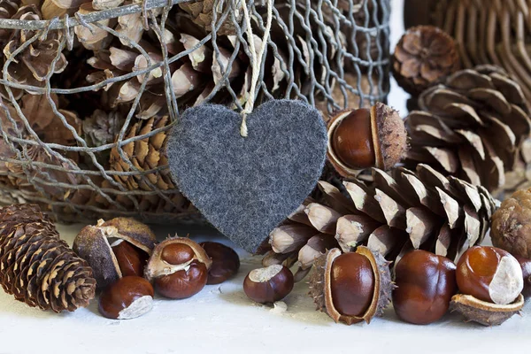 Felt Heart With Pine Cones And Chestnuts — Stock Photo, Image