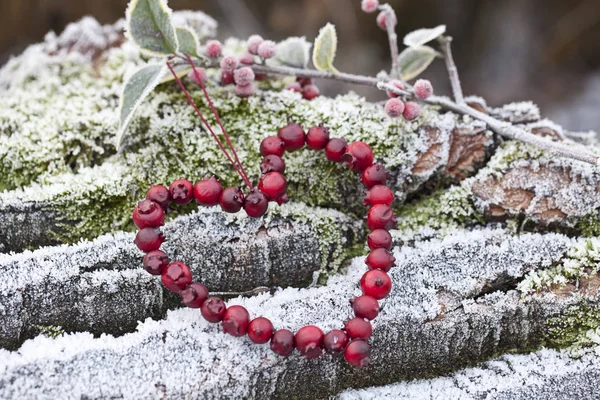 Corazón decorativo de baya roja afuera — Foto de Stock