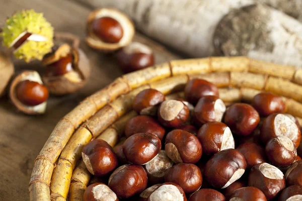 Autumn Still Life With Chestnuts — Stock Photo, Image