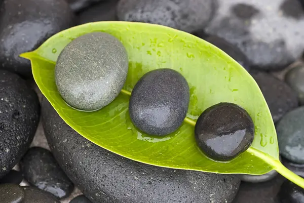 Pebble In A Row On Wet Leaf — Stock Photo, Image