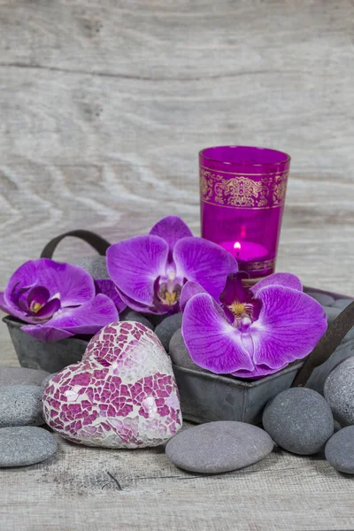 Stillleben mit Herz und Orchideen — Stockfoto