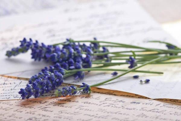 Purple Lavender Blossoms y letras antiguas —  Fotos de Stock