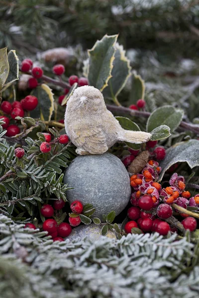 Natureza morta com pássaro e bagas vermelhas — Fotografia de Stock