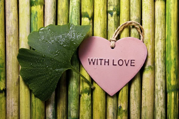 Hoja de gingko verde y corazón en bambú — Foto de Stock