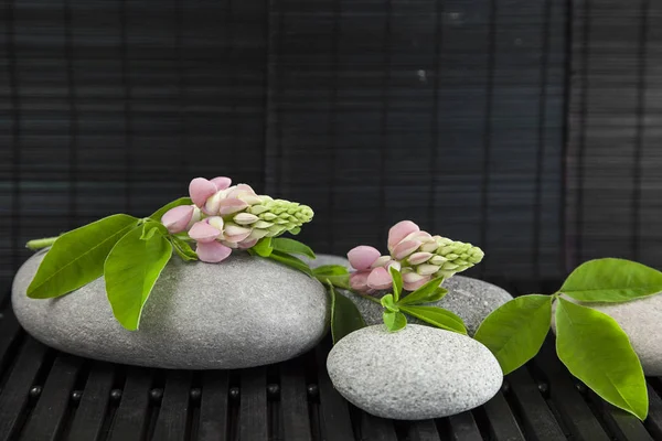 Zen-Blumen-Stillleben mit Kiesel — Stockfoto
