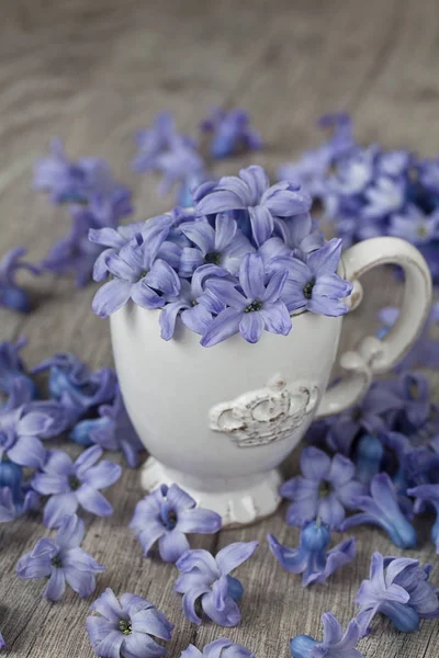 Bodegón con flores azules y copa —  Fotos de Stock