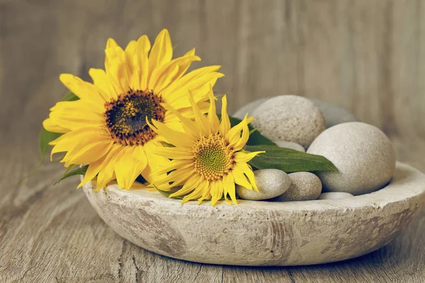 Decorative Autumn Still Life In Concrete Bowl — Stock Photo, Image