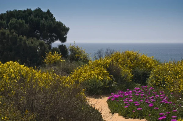 Vue sur la mer sur la côte portugaise de l'Algarve — Photo