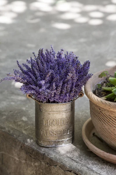 Fleurs de lavande dans un vase en étain vintage — Photo
