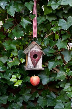 Sarmaşık Duvar Arasında Elma ile Sevimli Birdhouse