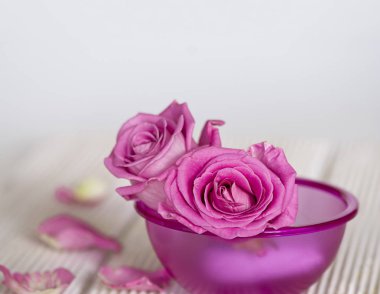 Pembe bir kasede pembe güller