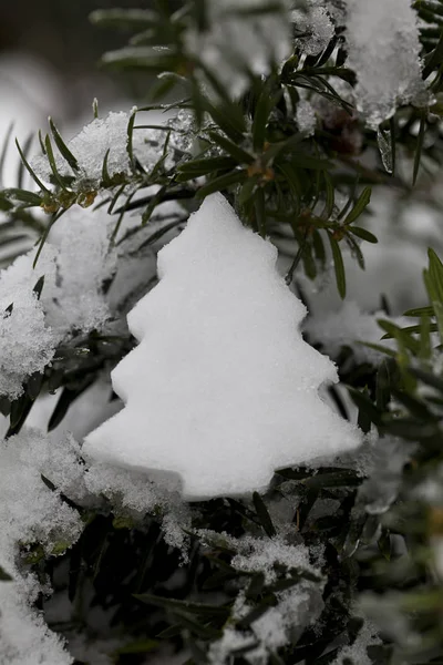 Ice Christmas prydnad med Fir gren — Stockfoto