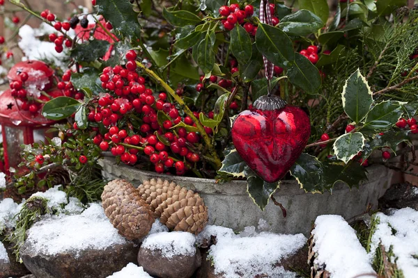 Outdoor Winter Still Life With Snow — Stock Photo, Image