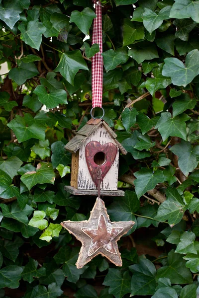 Birdhouse bonito com estrela através da parede da hera — Fotografia de Stock