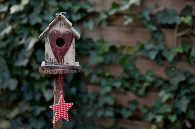 Sarmaşık Duvarında Yıldızlı Şirin Kuş Evi