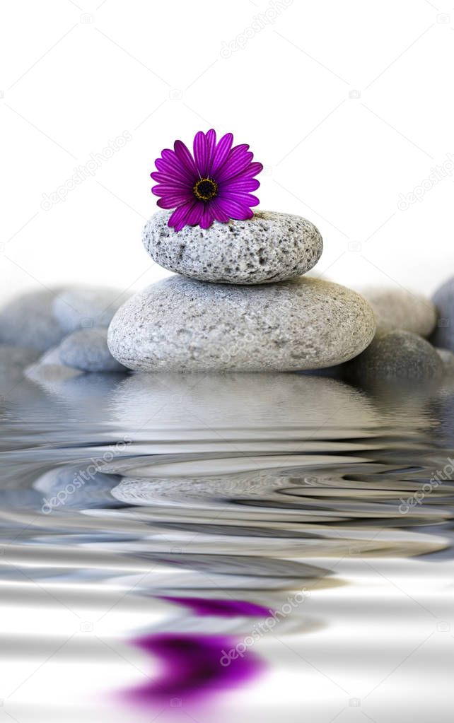 Pebble Stone Cairn With Flower And Water