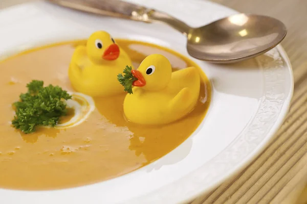 鴨と素朴なカボチャのスープ — ストック写真