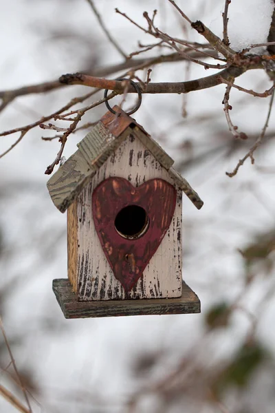 Casa de passarinho bonito com coração — Fotografia de Stock