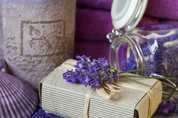 보라색 향기가 나는 라벤더 꽃 이 여전히 살아 있다 — 스톡 사진