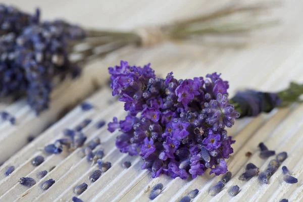 Violet parfumé fleur de lavande nature morte — Photo