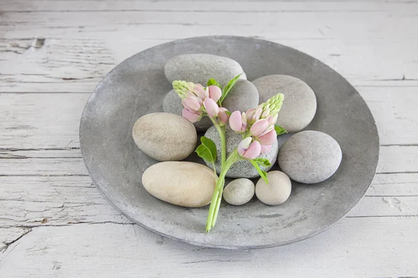 Zen Flowers On Concrete Bowl — Stock Photo, Image