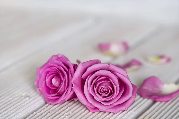 Ροζ τριαντάφυλλα σε ξύλινο μαύρο φόντο — Φωτογραφία Αρχείου