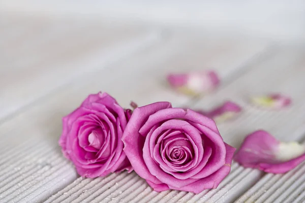 Rosas rosadas sobre fondo negro de madera —  Fotos de Stock