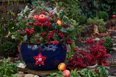 Mavi Çanak Kış Dekorasyonu