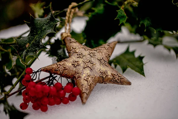 Ornamento de estrela de Natal com Ilex — Fotografia de Stock