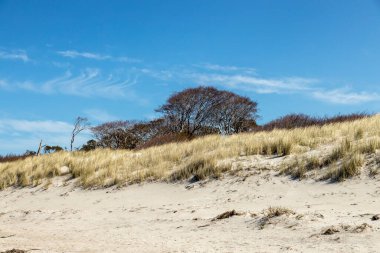 Almanya 'nın kuzeydoğusunda güneşli bir bahar gününde Mecklenburg-Vorpommern' in Baltık Denizi kıyılarında çekilmiş plaj manzarası