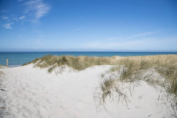 Paisaje Playa Capturado Solitaria Costa Del Mar Báltico Mecklemburgo Vorpommern — Foto de Stock