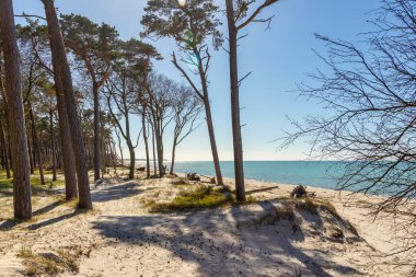 Almanya 'nın kuzeydoğusunda güneşli bir bahar gününde Mecklenburg-Vorpommern' in Baltık Denizi kıyılarında çekilmiş plaj manzarası