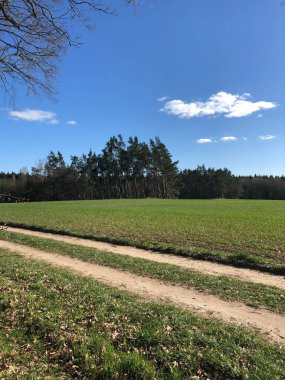 Mavi gökyüzü olan arazi ve patika, Almanya 'da bir bahar yürüyüşünde çekilmiş açık hava görüntüsü.