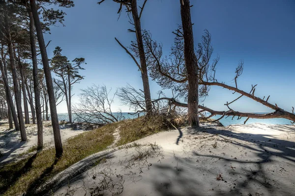 Paysage Plage Capturé Sur Côte Solitaire Mer Baltique Mecklembourg Poméranie — Photo